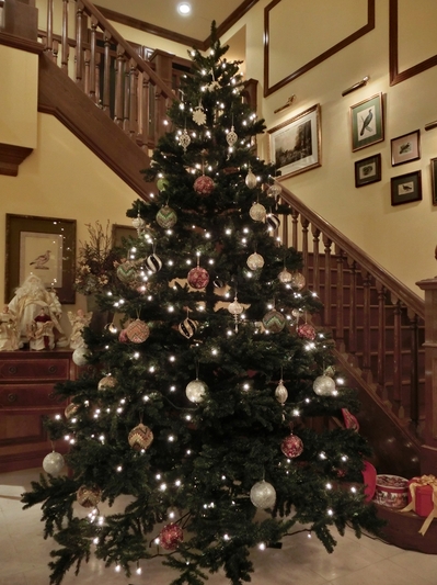 2011クリスマスツリー.JPG