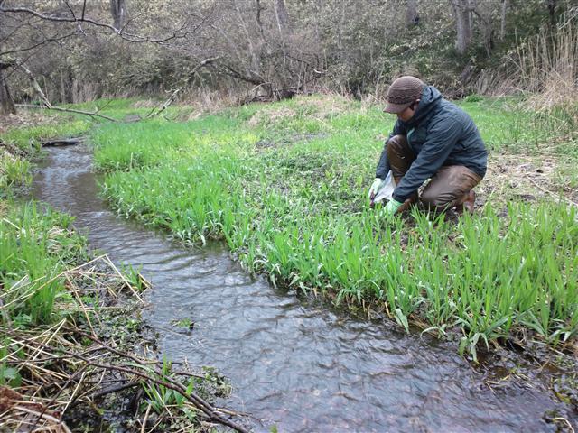 http://www.hazelgrouse.com/staff-blog/%E5%B1%B1%E8%8F%9C%E6%8E%A1%E3%82%8A.jpg