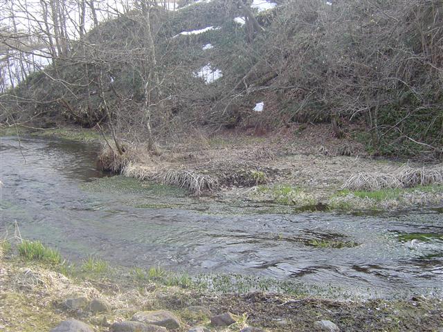 http://www.hazelgrouse.com/staff-blog/DSC01122_R.jpg