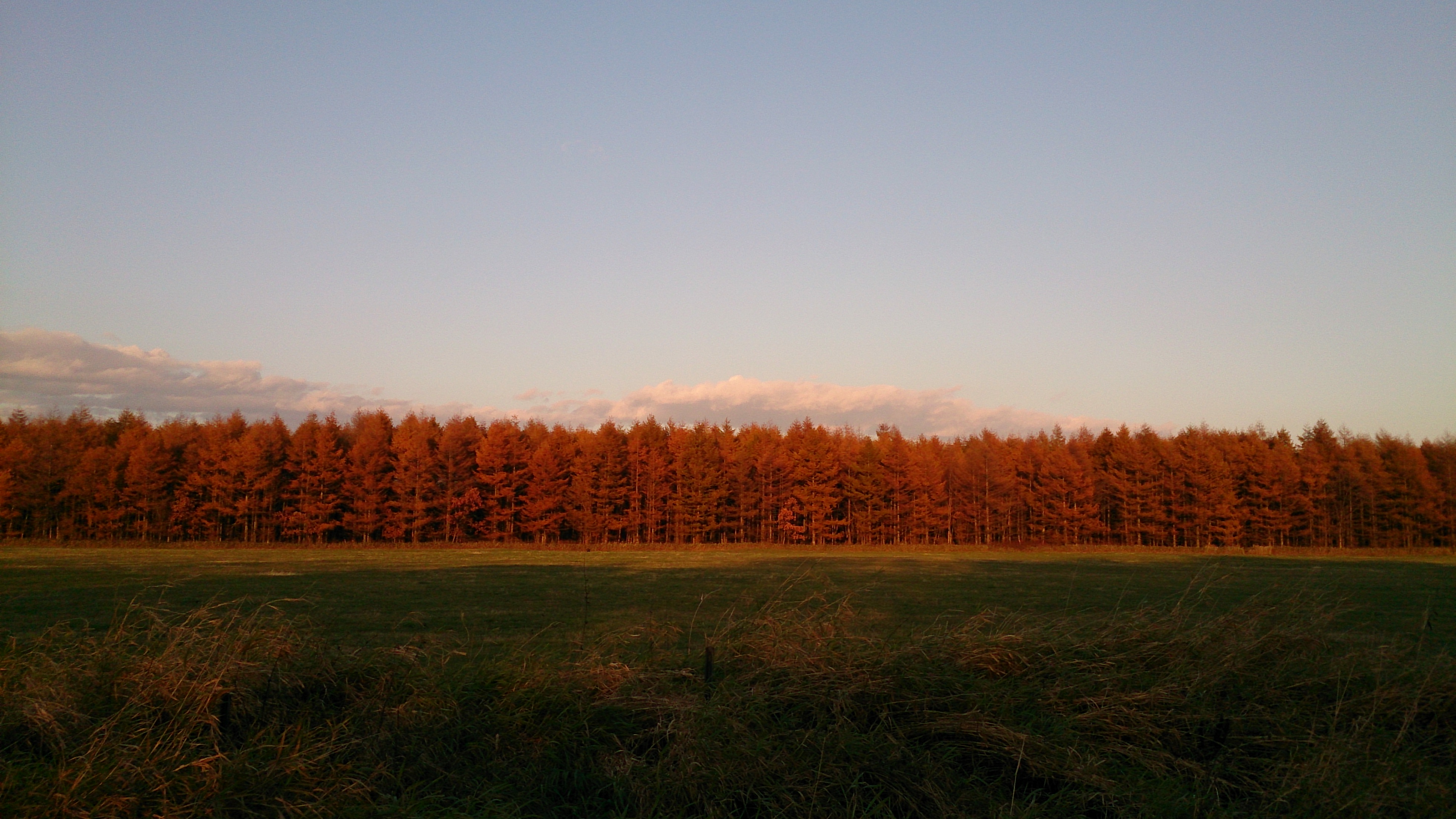 http://www.hazelgrouse.com/staff-blog/DSC_0564.jpg